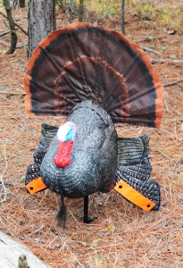 Mojo turkey