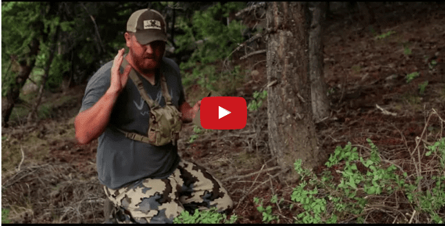 Trail Camera Strategies