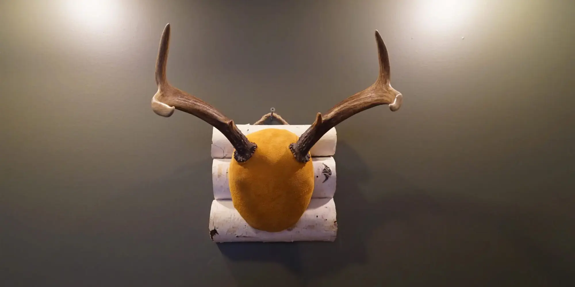 9 Easy Steps for DIY Antler Mount