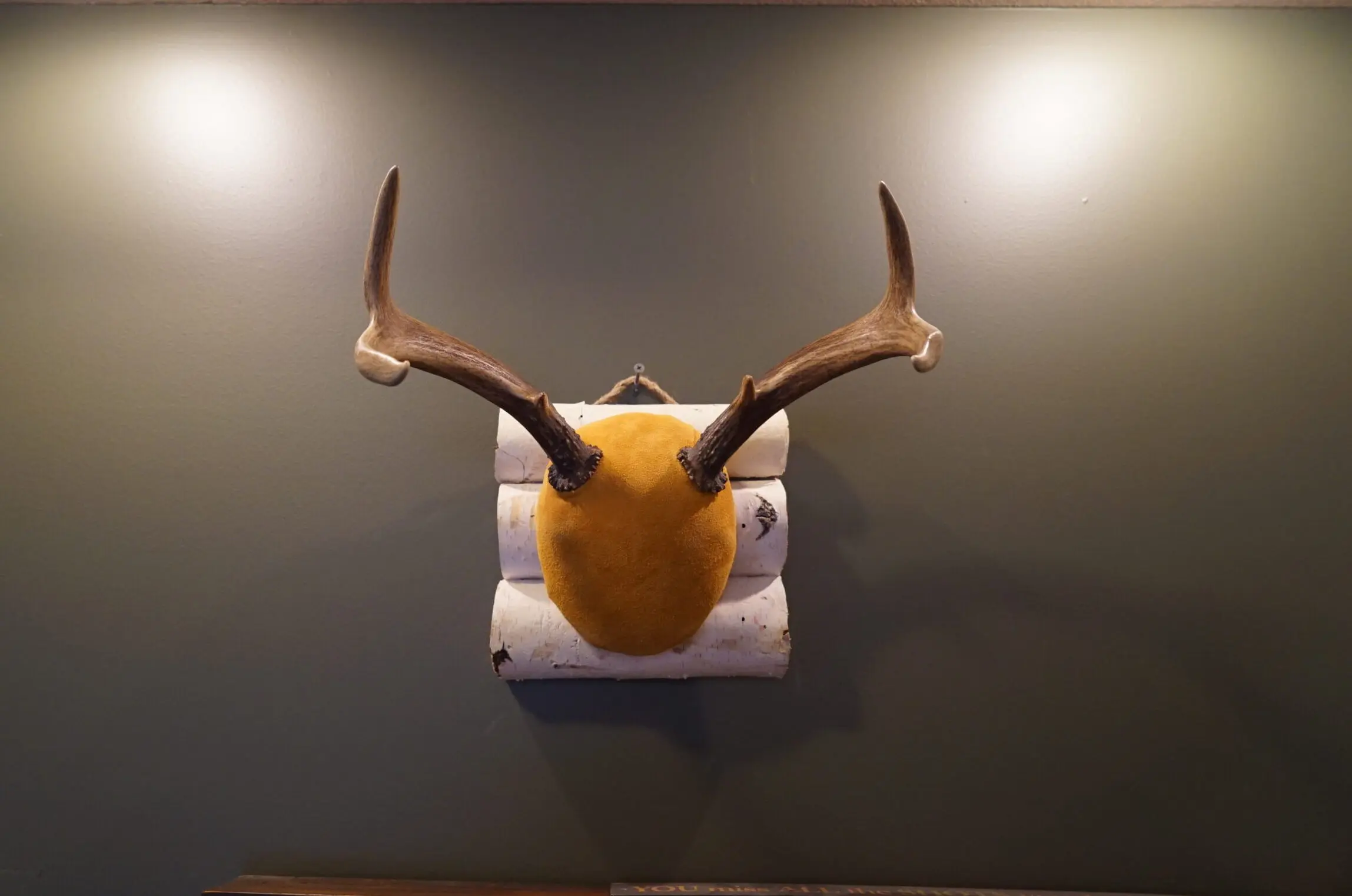 9 Easy Steps for DIY Antler Mount