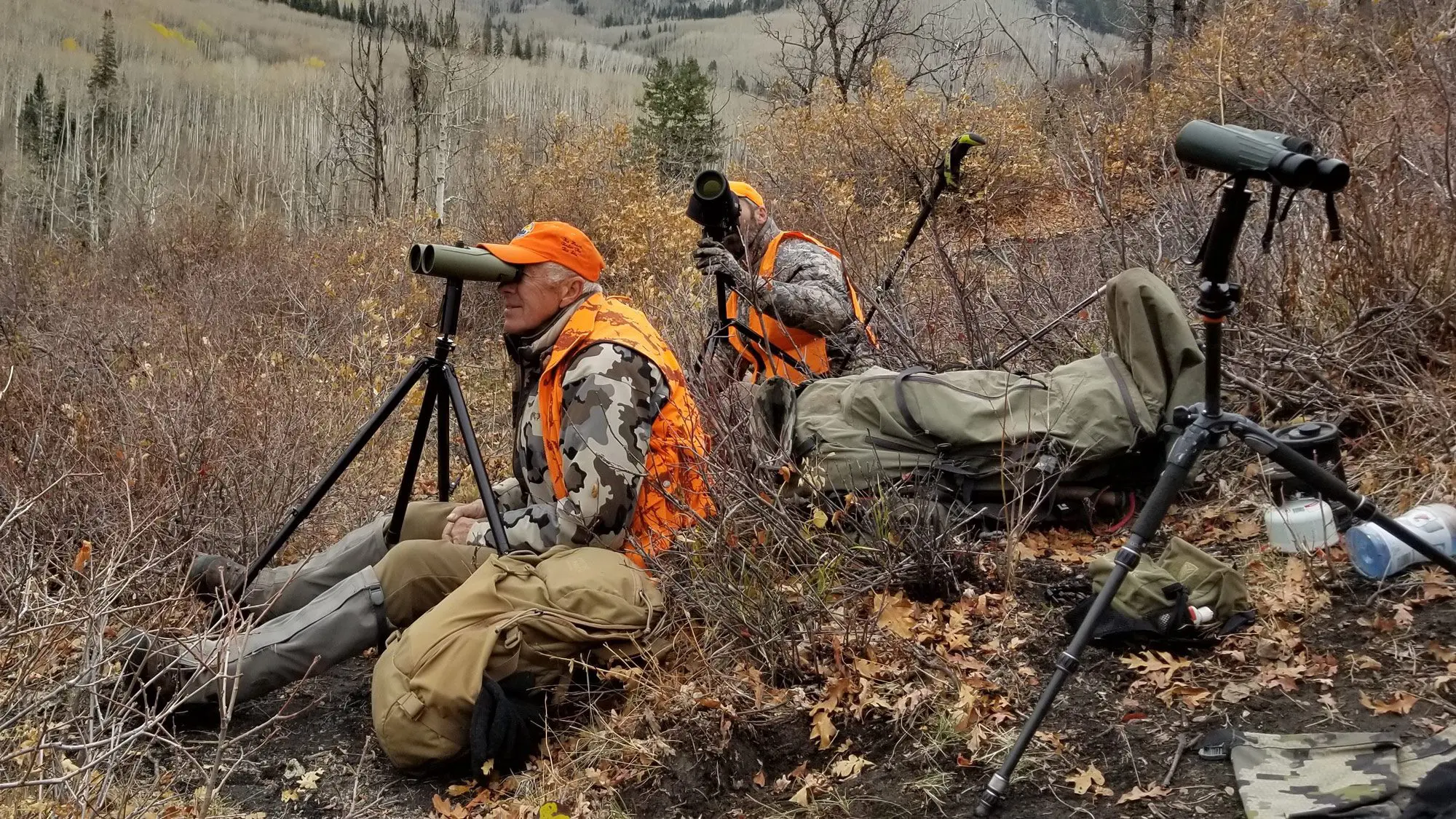 Glassing for elk