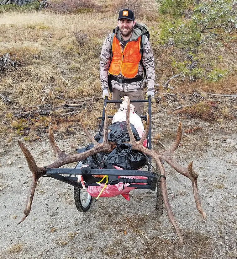 Using a cart to get meat out during a successful road hunt.