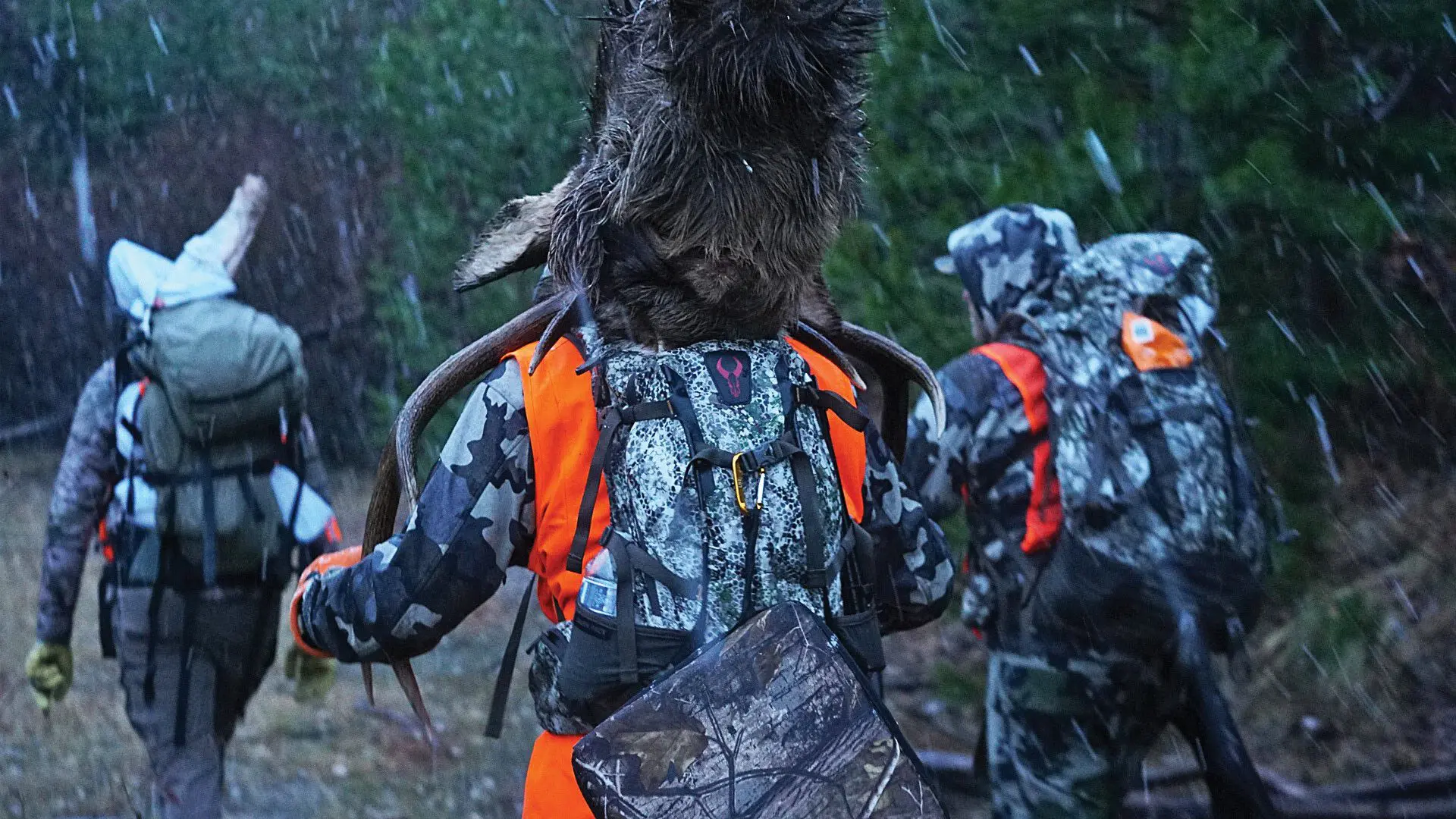 Carrying an elk head during a road hunt.