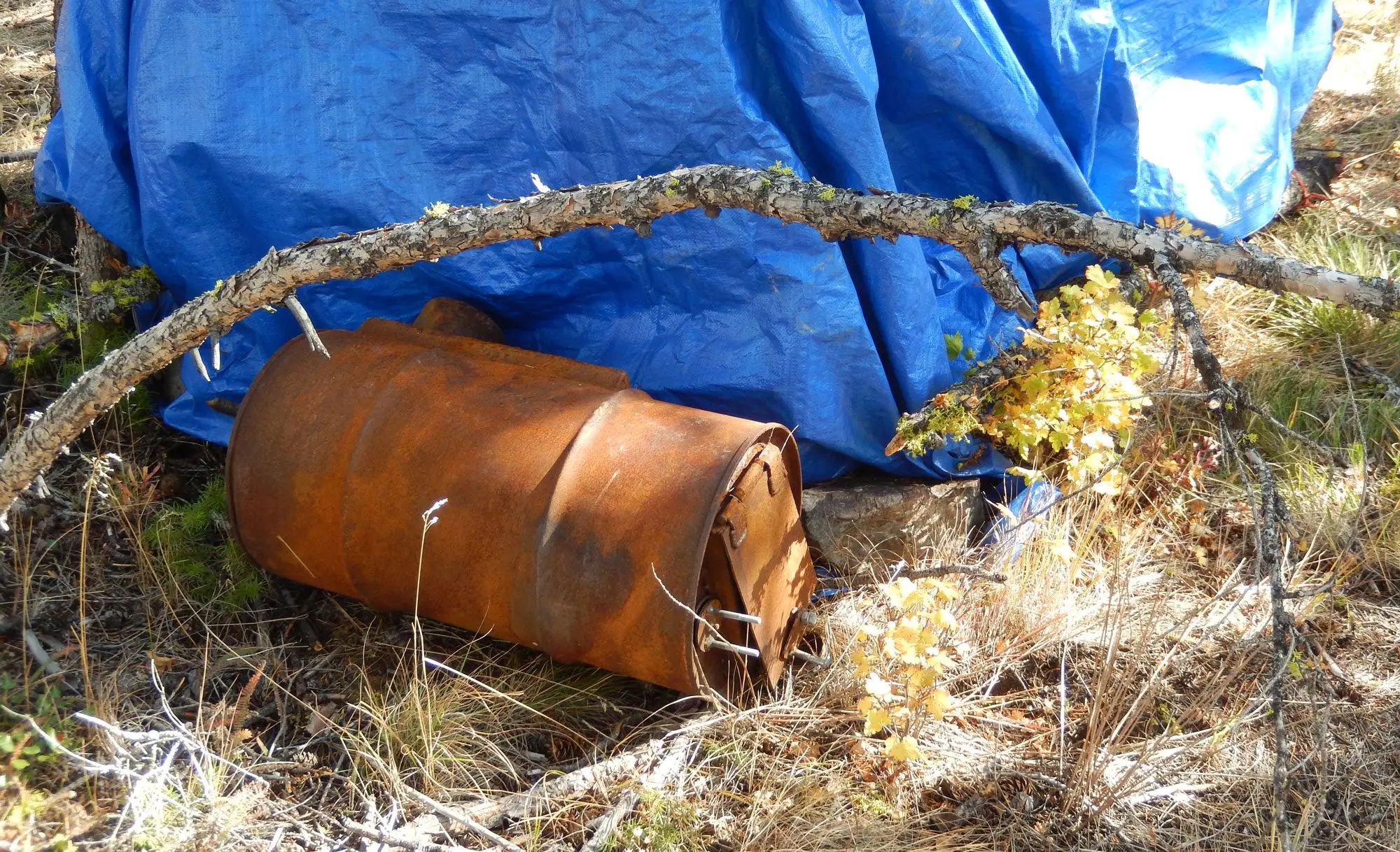 a 50 gallon drum turned into a hunting stove