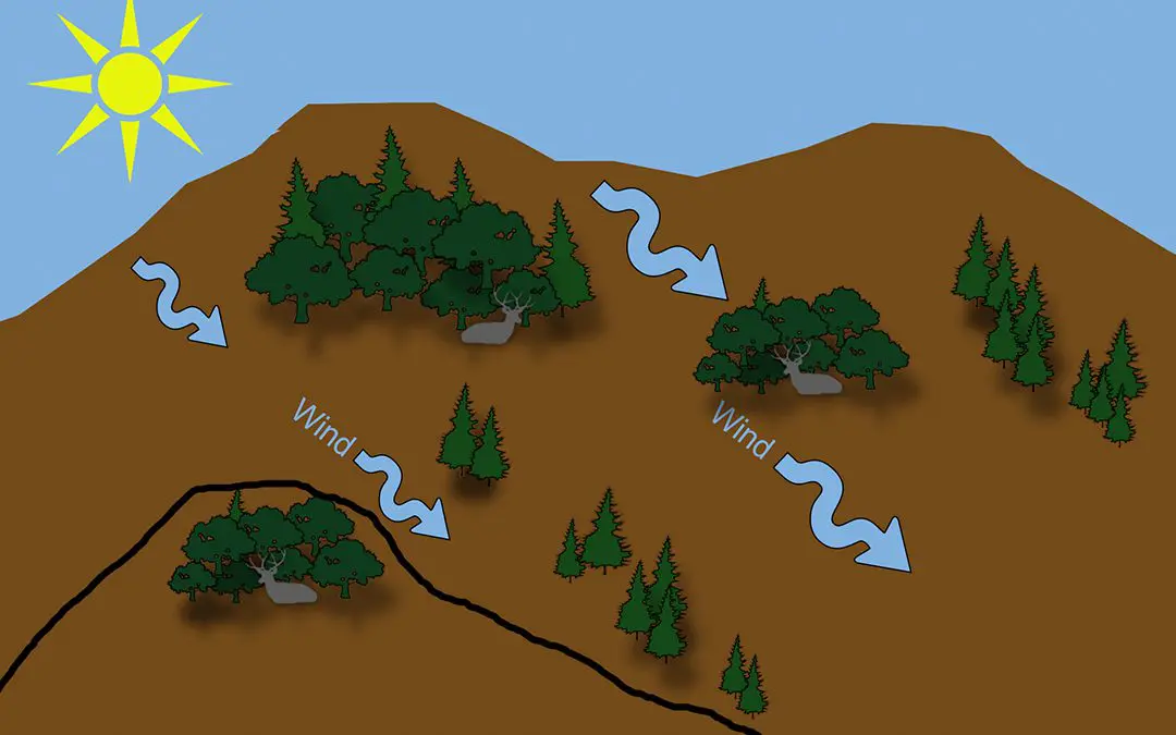 diagram showing the proper wind direction for mule deer stalks.