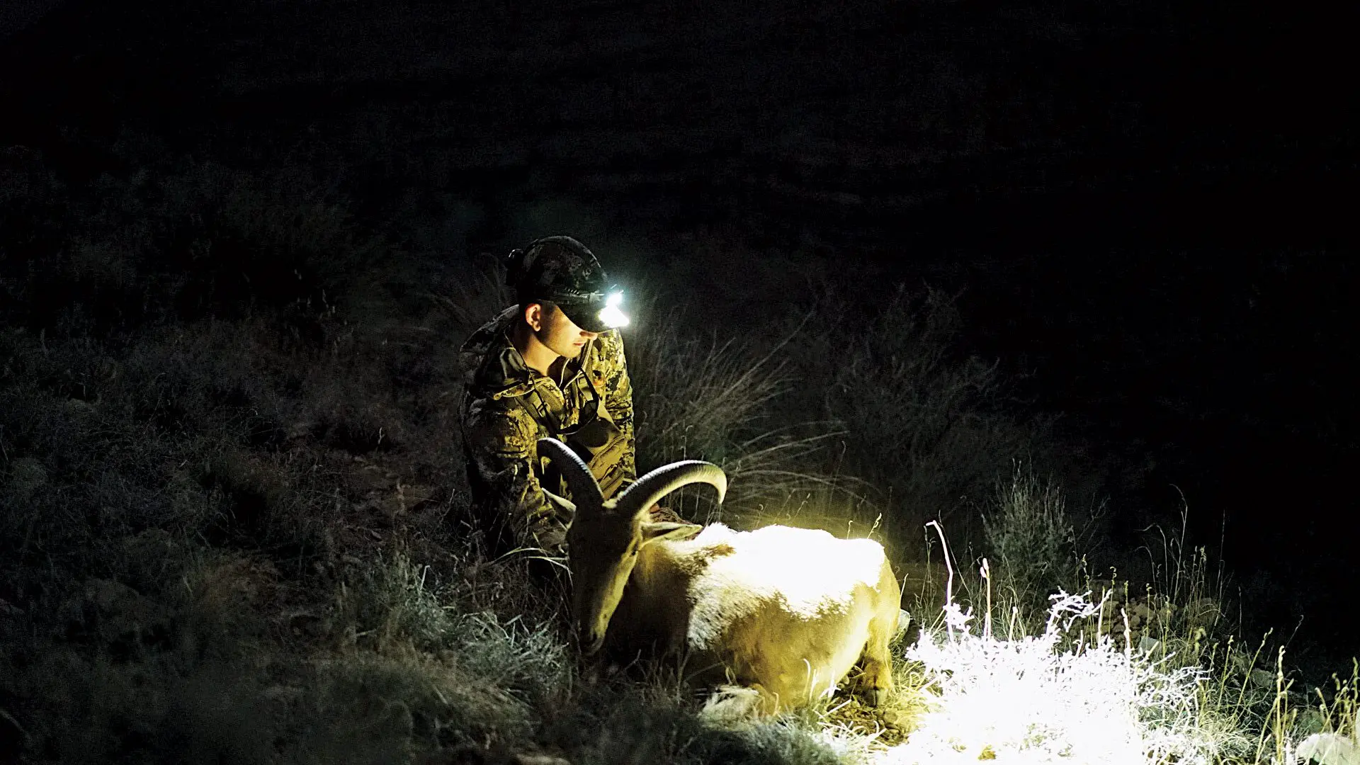 A successful aoudad taken during an exotic hunt.