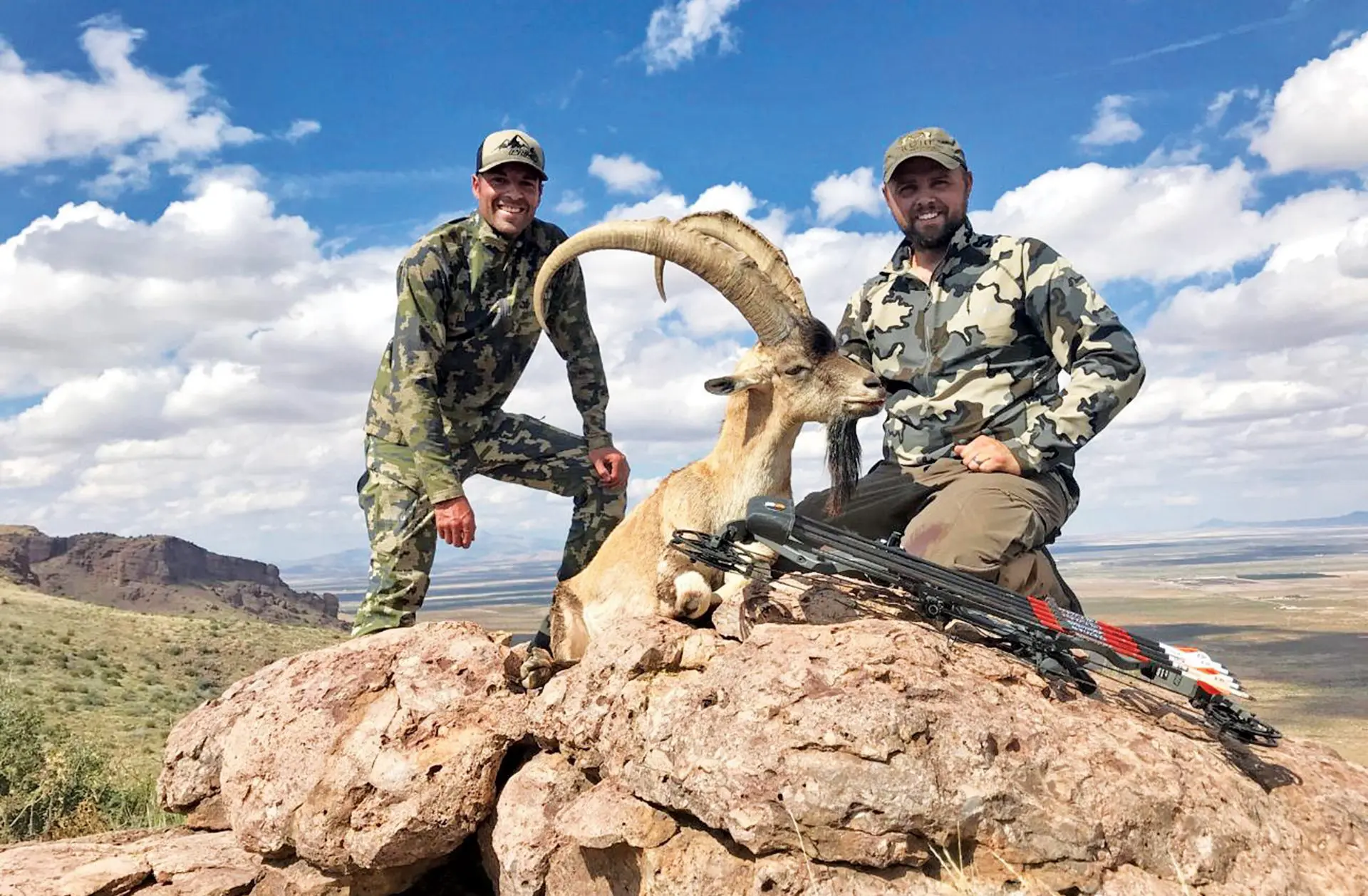 a New Mexico Ibex ram which is one of the many exotic species you can hunt.