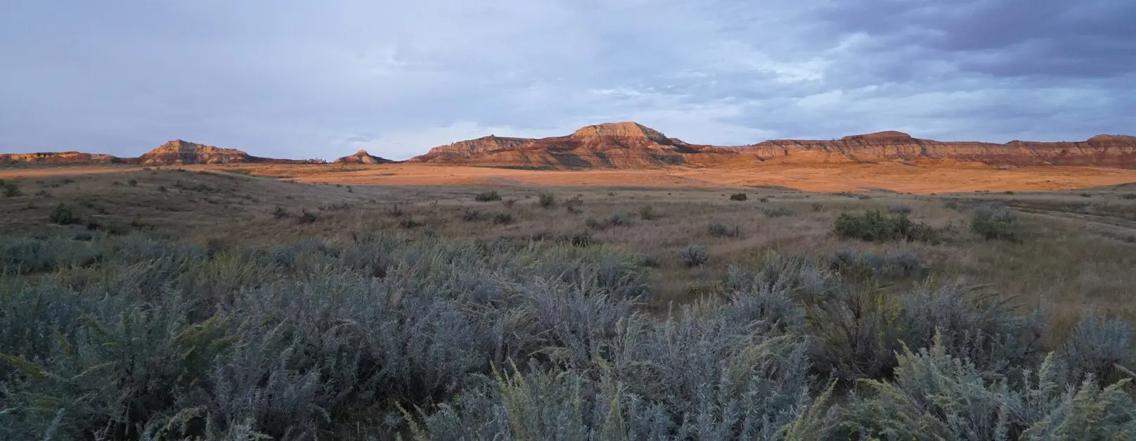 Sage plains is where you will find most archery antelope opprotunitues.