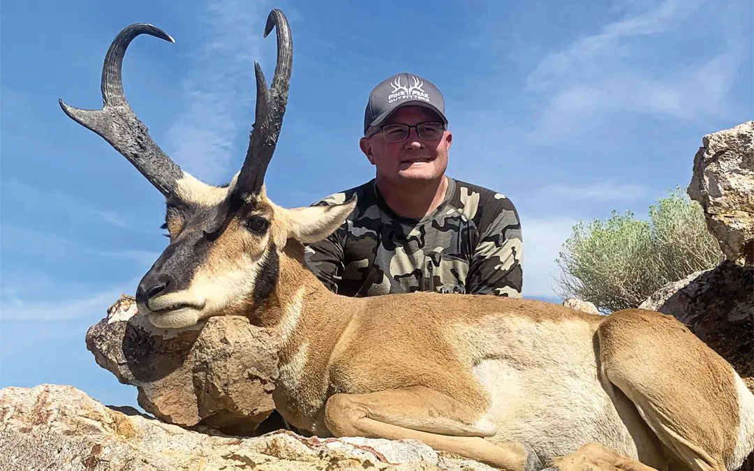 Back-To-Back Antelope Bucks