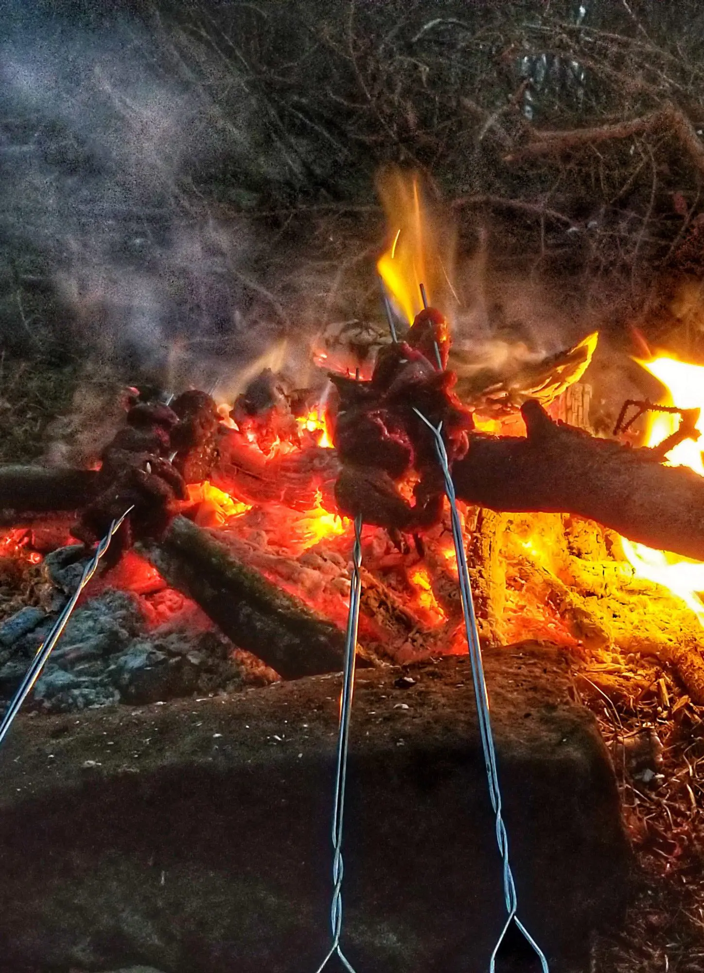 Grilling elk meat over a fire