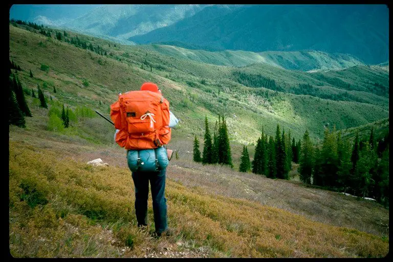 spring bear hunting in the mountains above the Selway River.