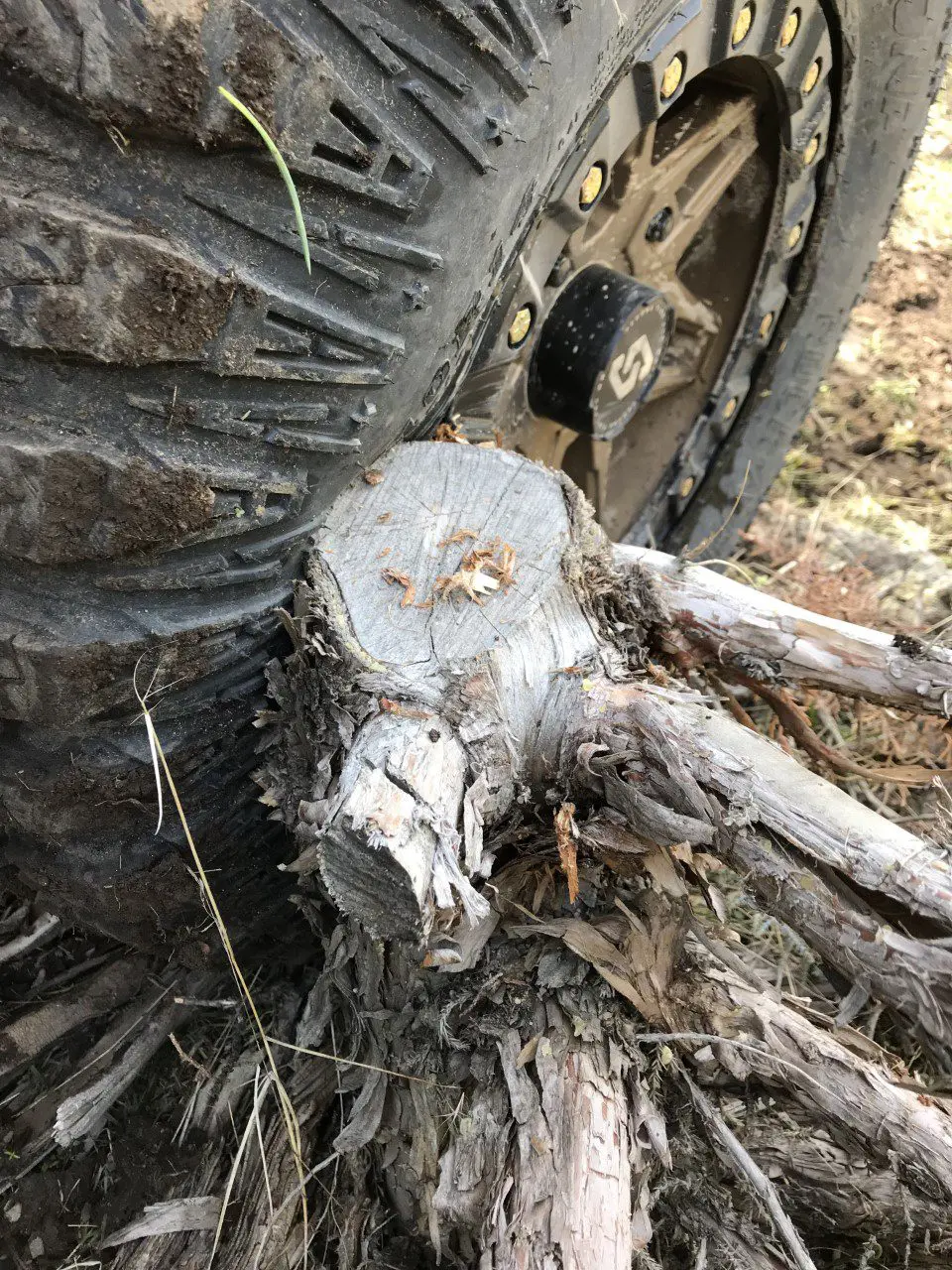 A UTV tire with a stump digging into the sidewall.