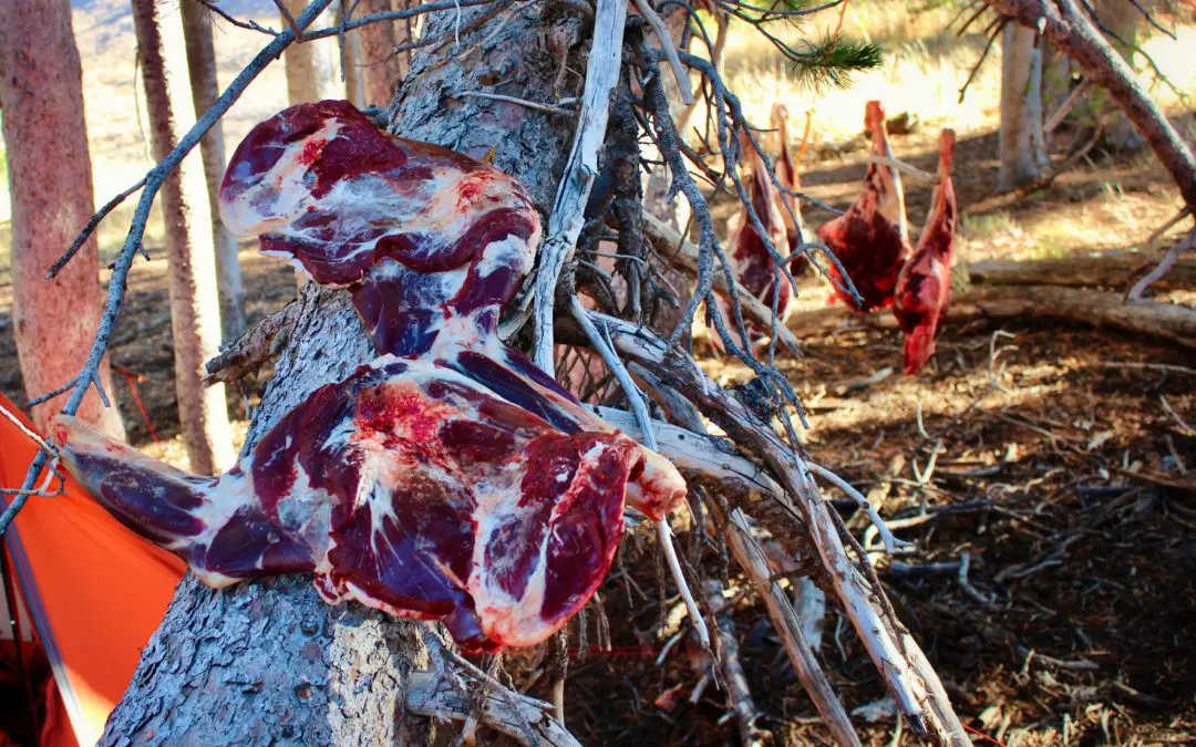 Intro to Backcountry Meat Care