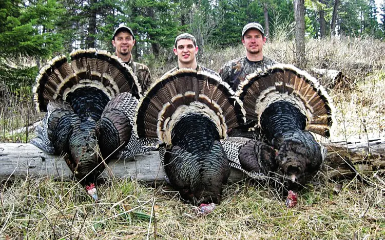 How Turkey Hunting Can Make You A Better Elk Hunter