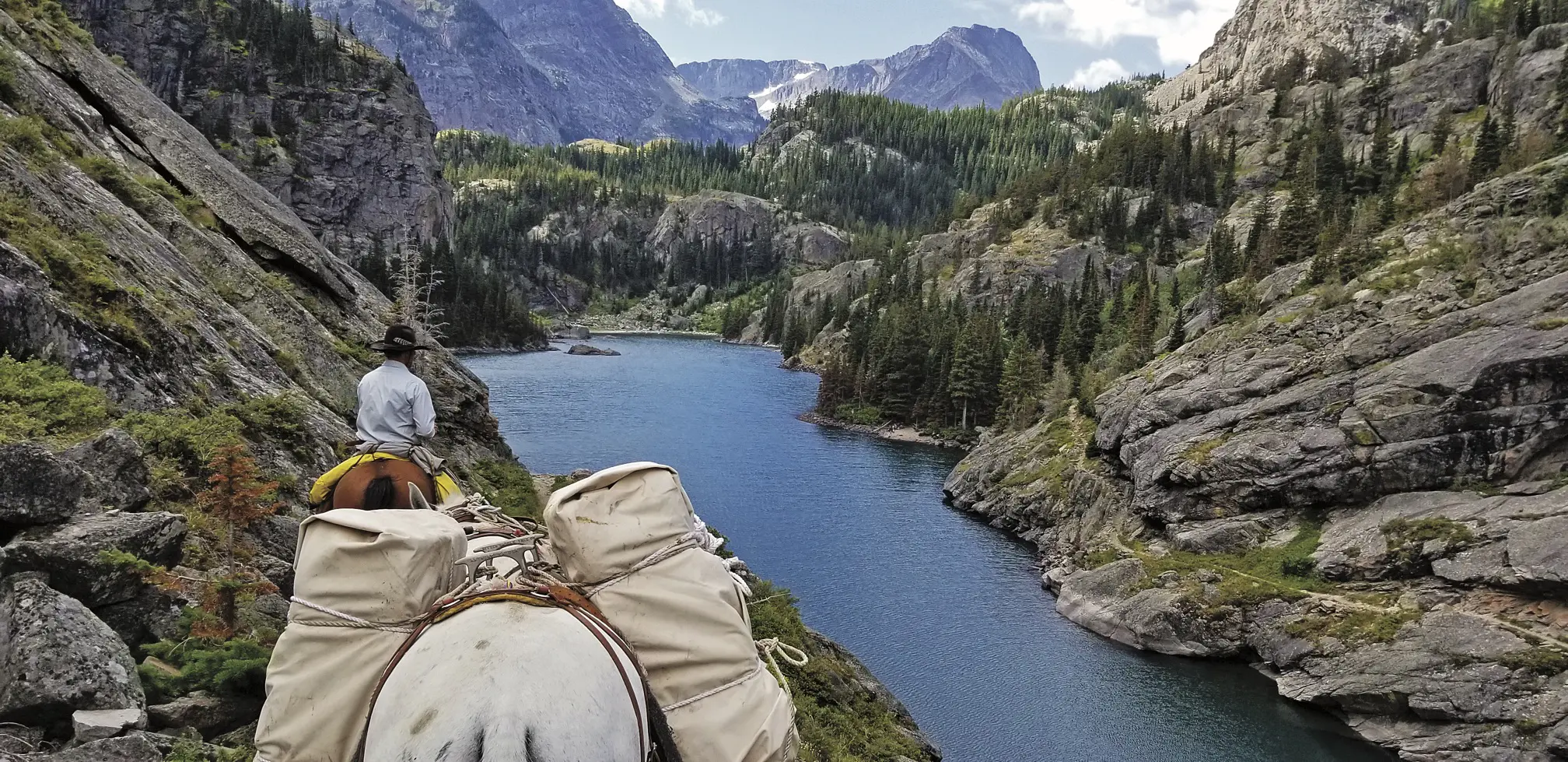 Navigating the Backcountry with Stock