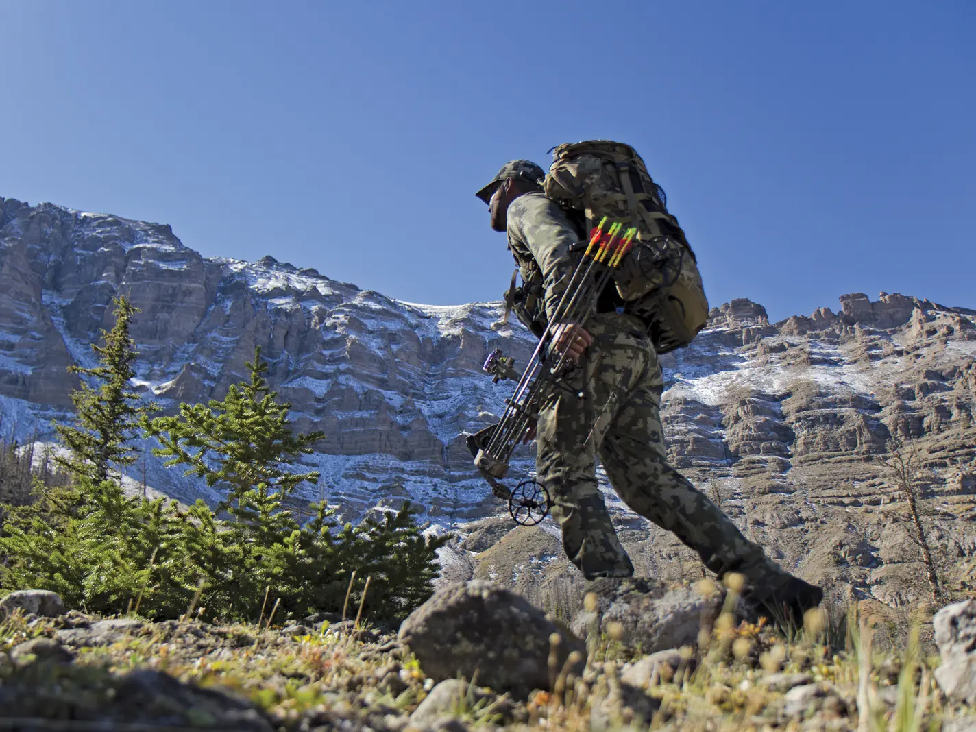 Tough Terrain Bulls