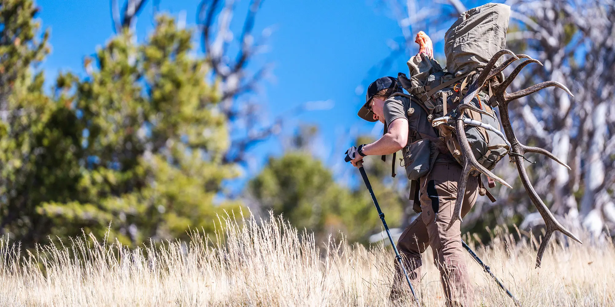 On a String- Idaho Archery Elk OTC Tag