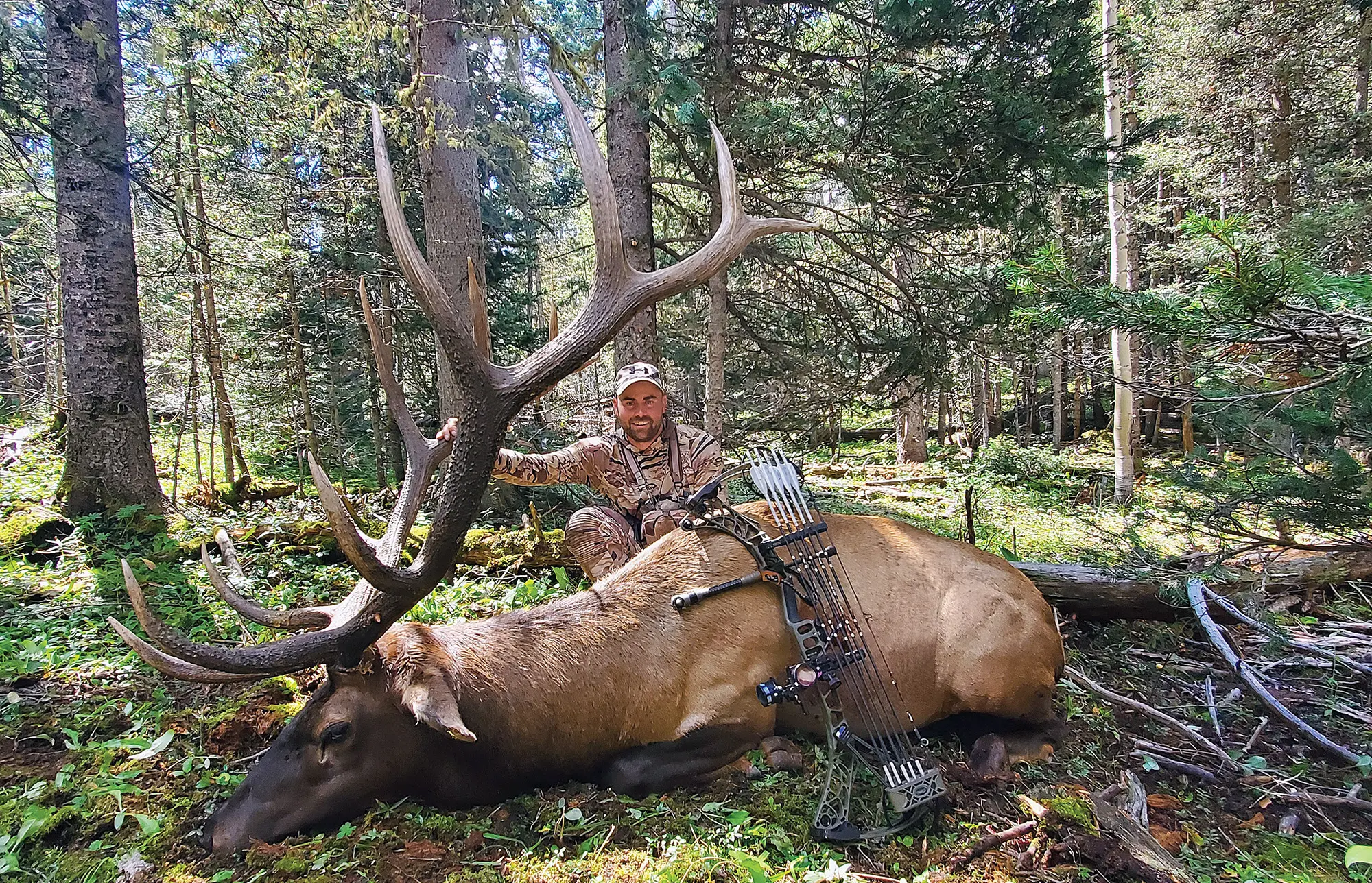 “If” and “Then” Elk Hunting