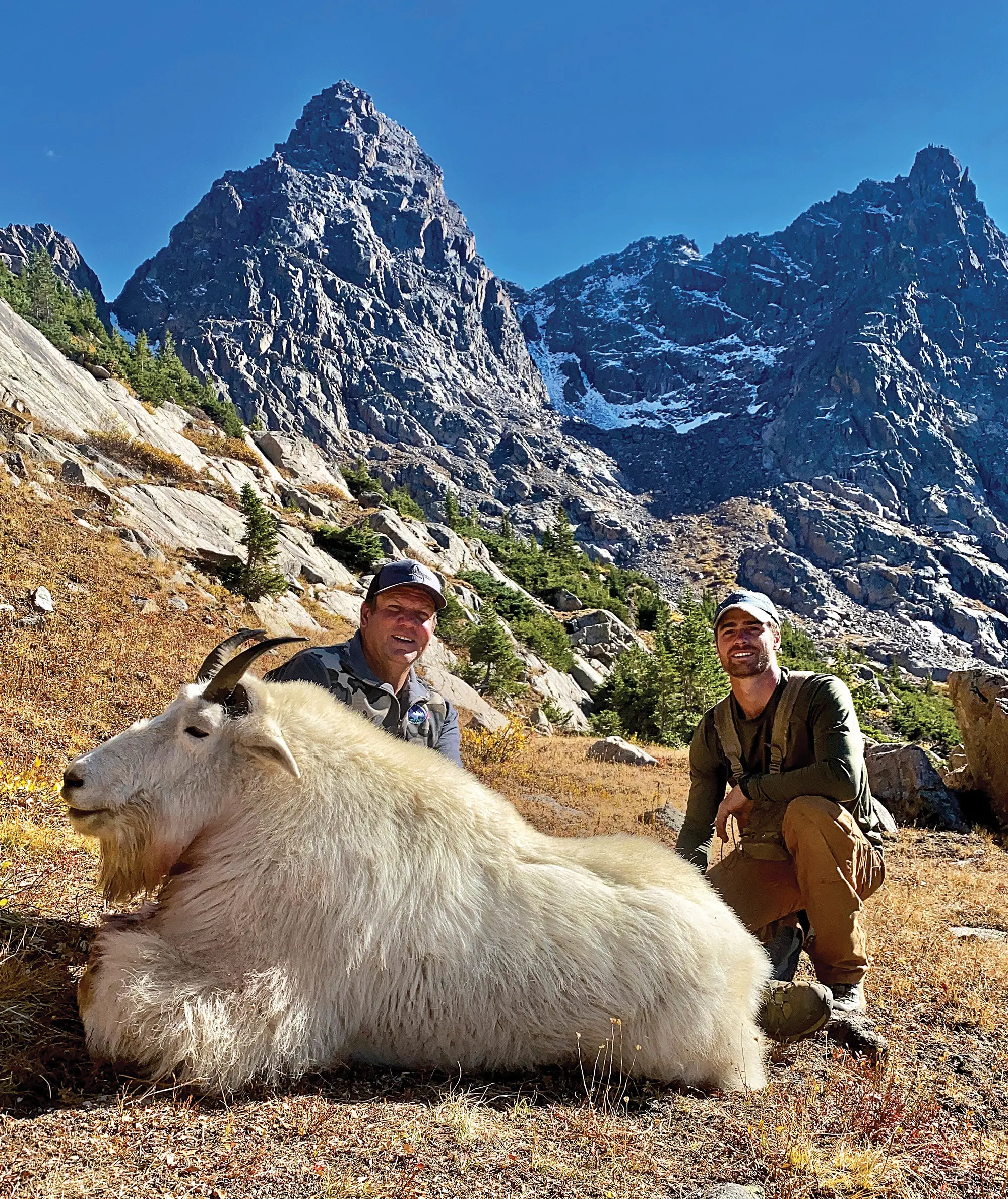 Mike and Tanner are all smiles with this mountain of a goat. Long, white winter hair, a flowing beard and sharp black horns combine to make an impressive animal unlike anything else in North America. Interestingly enough, Mountain Goats are not native to Colorado having been introduced here almost 70 years ago.