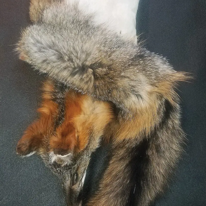 The finished fur should have its original, soft nature, and the skin side will be a soft, creamy tanned piece of leather.