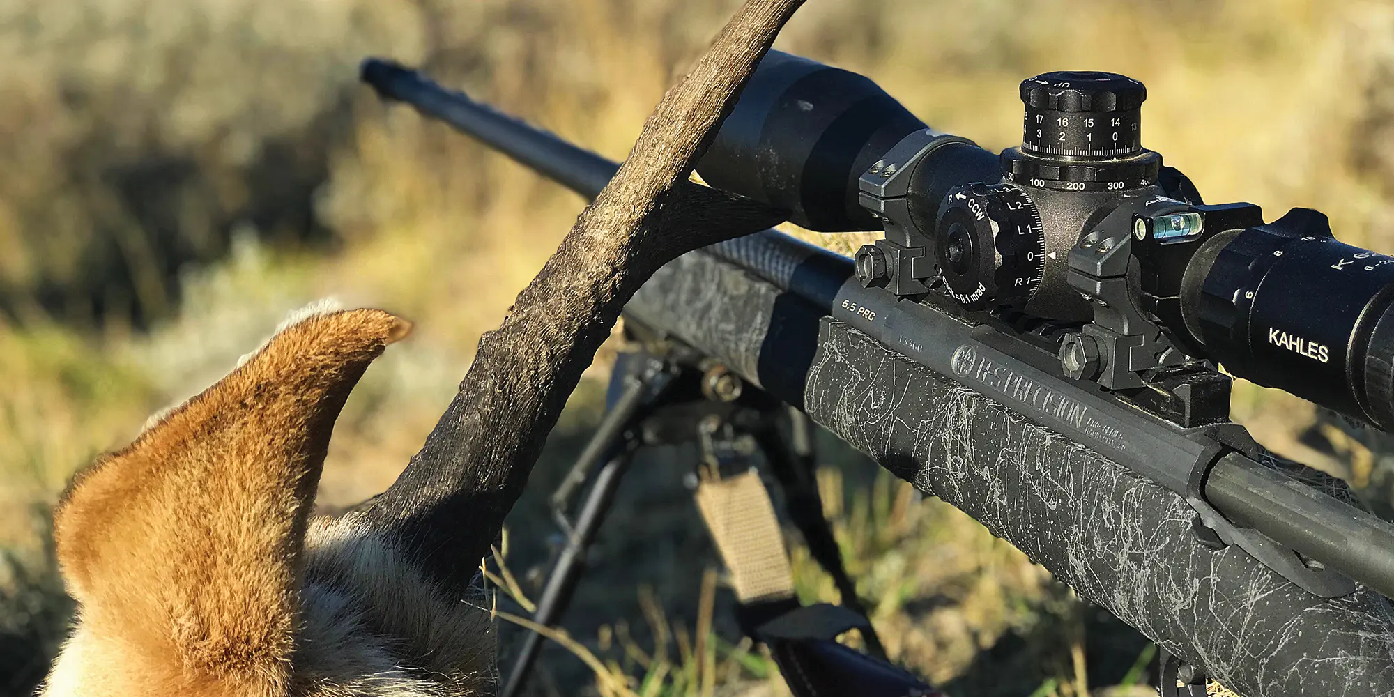 The Pursuit of Perfection: HS Precision PLC Rifle Review