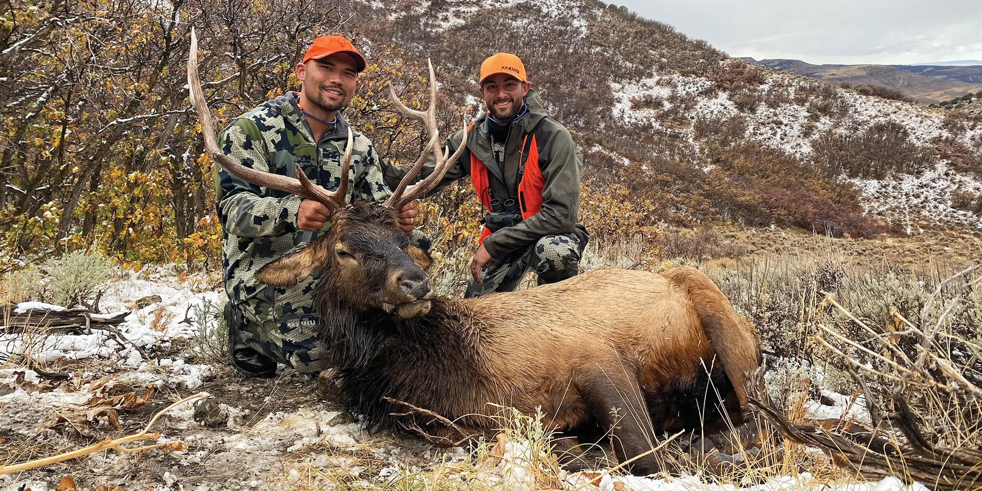 Elk In Common: Colorado Elk Hunt