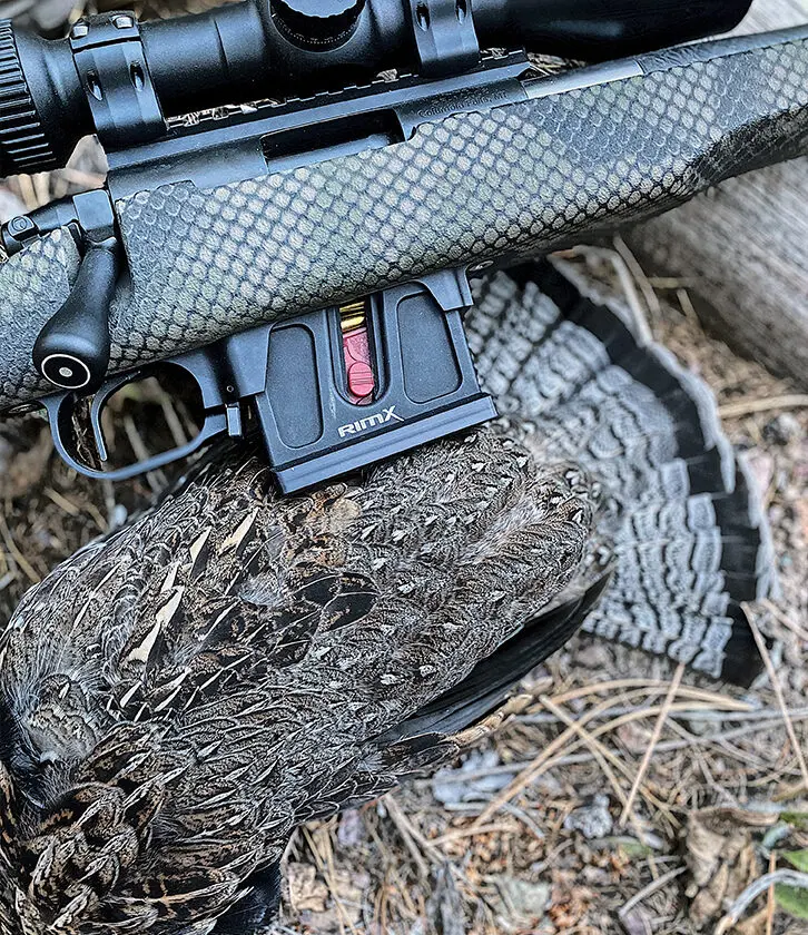 The author was able to harvest a limit of Ruffed grouse with the Rimx .22LR. This bird was taken with a single head shot from 35 yards thanks to the extreme accuracy of the Proof Research barrel.