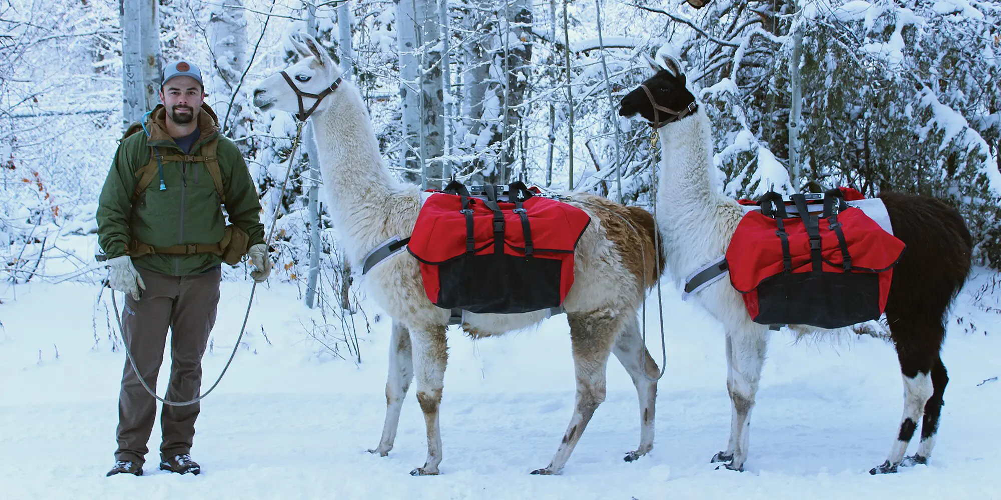 Backcountry Passage: Best Methods of Transit in the Wilderness