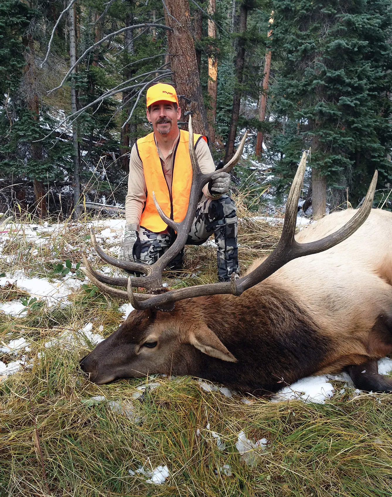 Mike Messier, a long-time hunting partner of the author, with a nice late October bull. This bull was feeding on a grassy bench on a mountainside thick with Douglas fir and spruce. The location was over two miles from the nearest road, downhill, across a canyon, with a creek 100 yards below - perfect ingredients for a "bull nest".