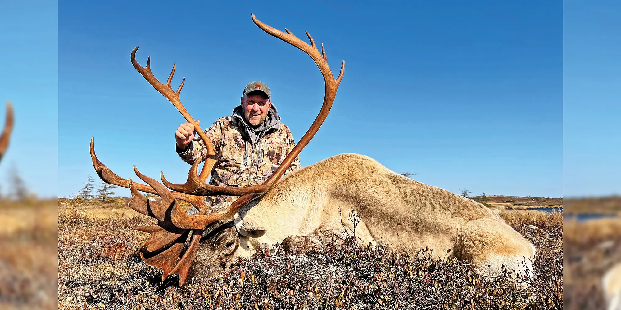 North American Super Slam – Woodland Caribou