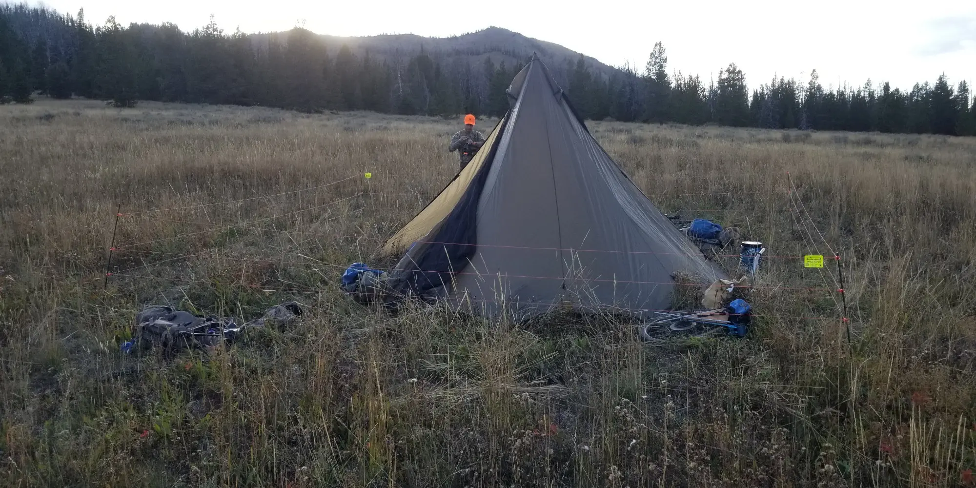 Bearwatch Systems Electric Fence