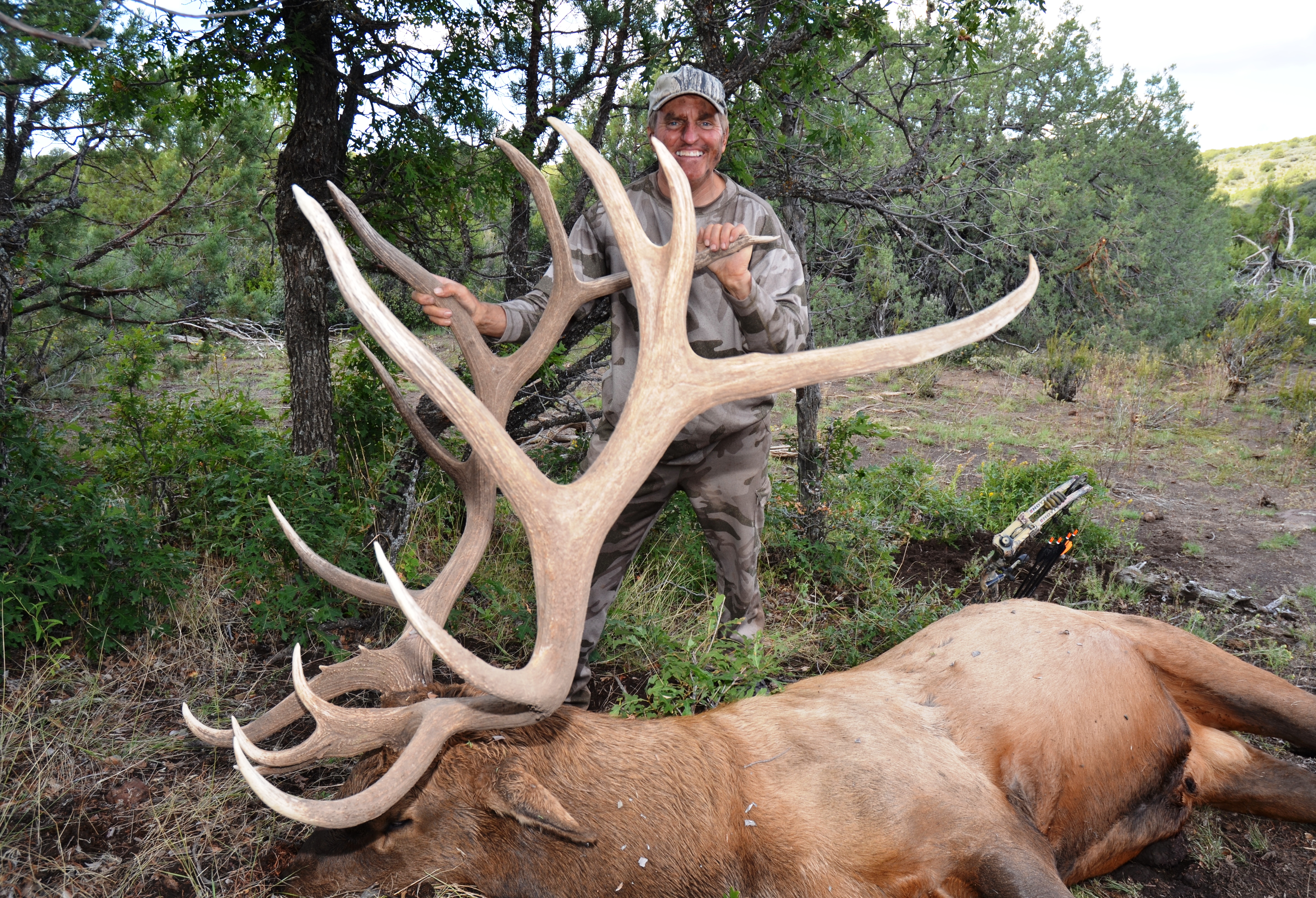 Randy Ulmer's Take on Shot Placement and Moving Elk