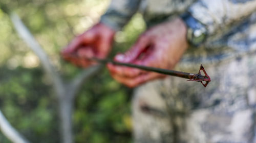 To see more red on your arrows, it's wise to learn what factors it is that make the best elk hunters consistently successful. 