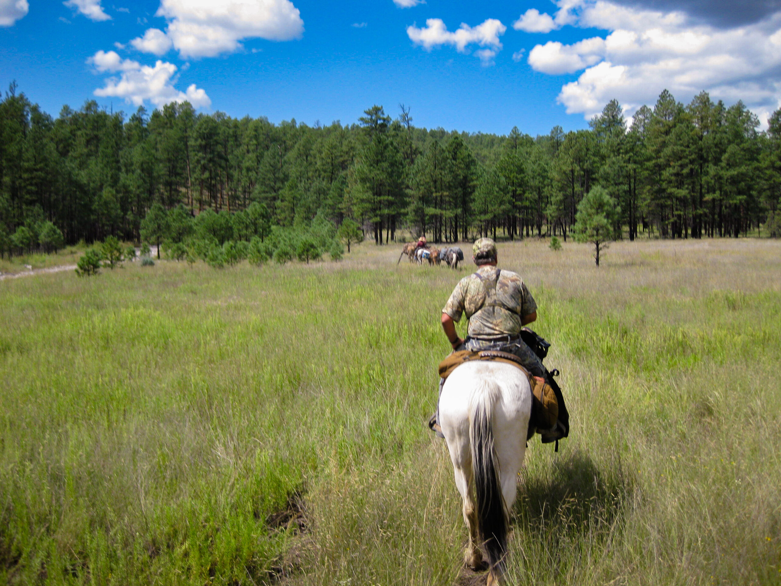 Off-Season Activities for the Hunting Horseman
