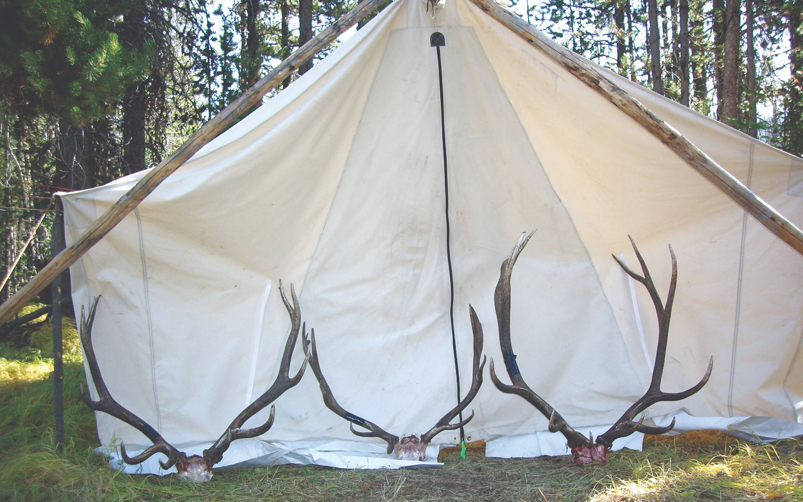 A Guide to Hunting from a Canvas Wall Tent - Western Hunter