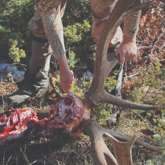 Knife Safety and Emergency Wound Care
