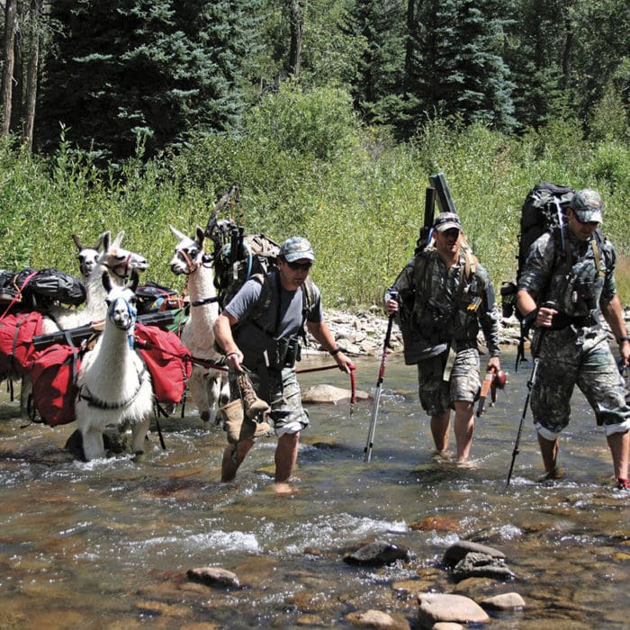 The Backpack Hunter’s Friend – Pack Llamas