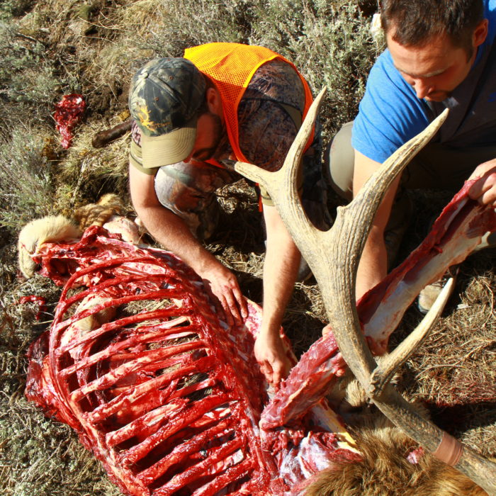 Meat from a Bull Elk