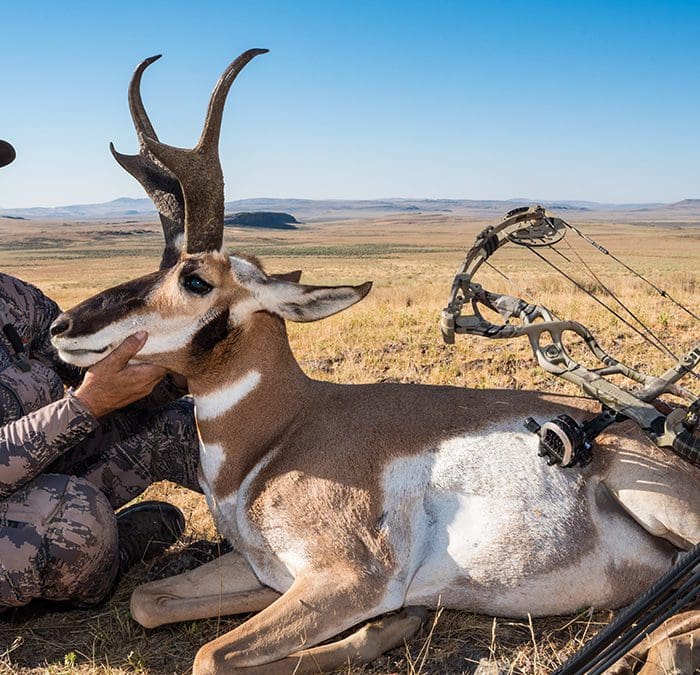 12 Tips for Compound Bow Setup