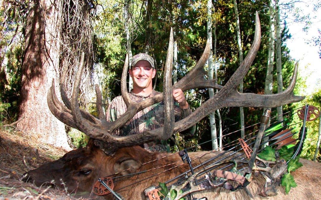 Best in the West: Bow Sights for the Western Bowhunter