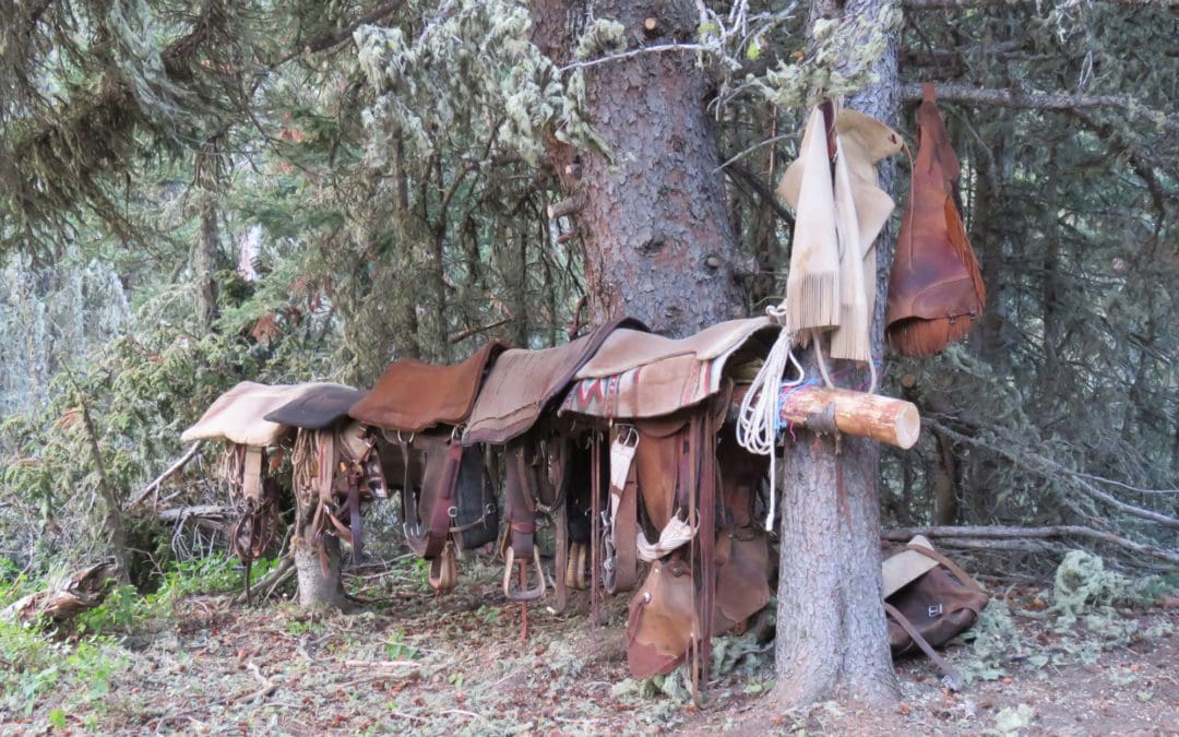 New Gear for the Hunting Horseman: A time-tested art can still occasionally use a slight tweak
