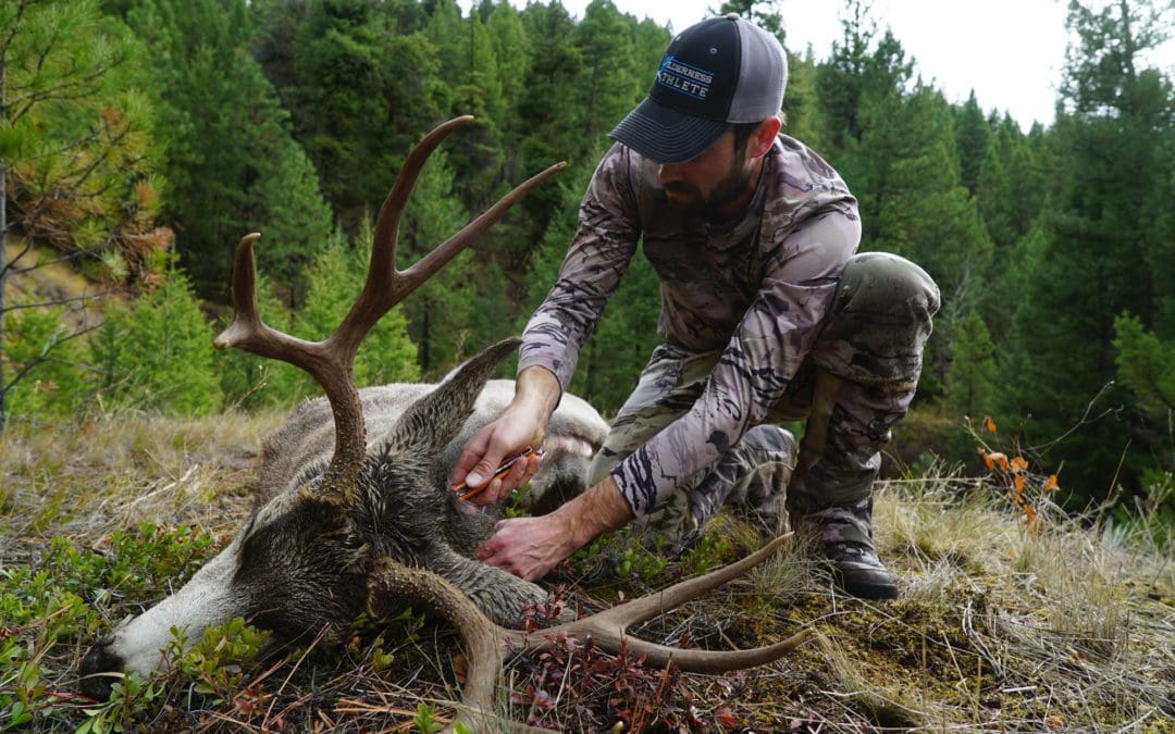Land Your Dream Job: How to become an elk guide