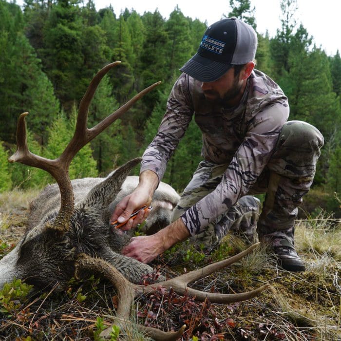 How to Become an Elk Hunting Guide