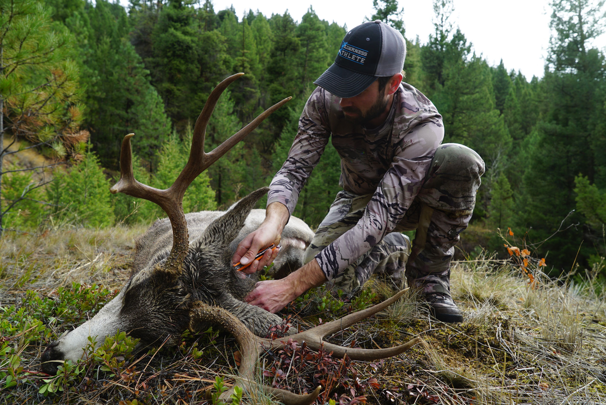 How to Become an Elk Hunting Guide