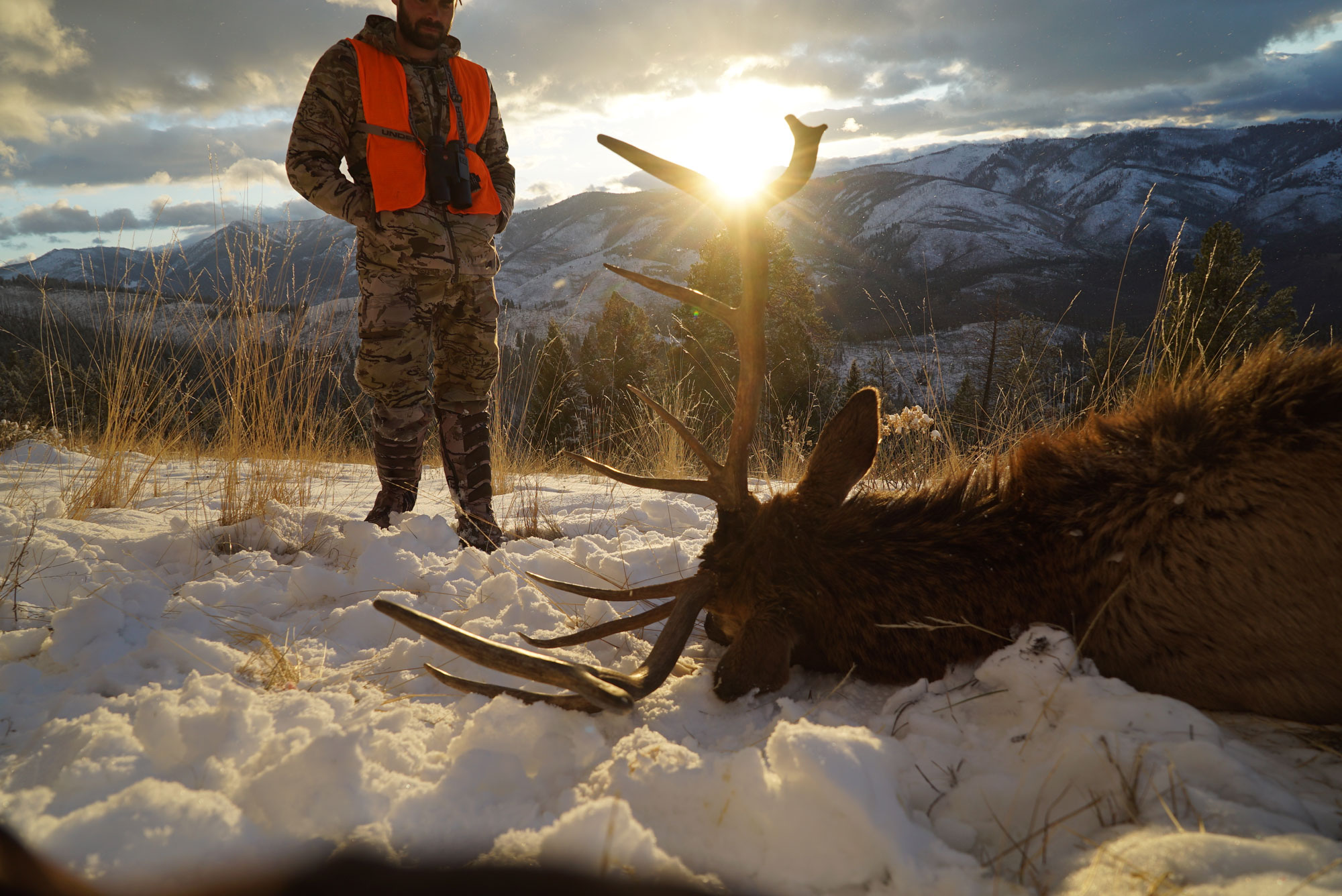 a successful elk hunt with hunting guide Remi Warren