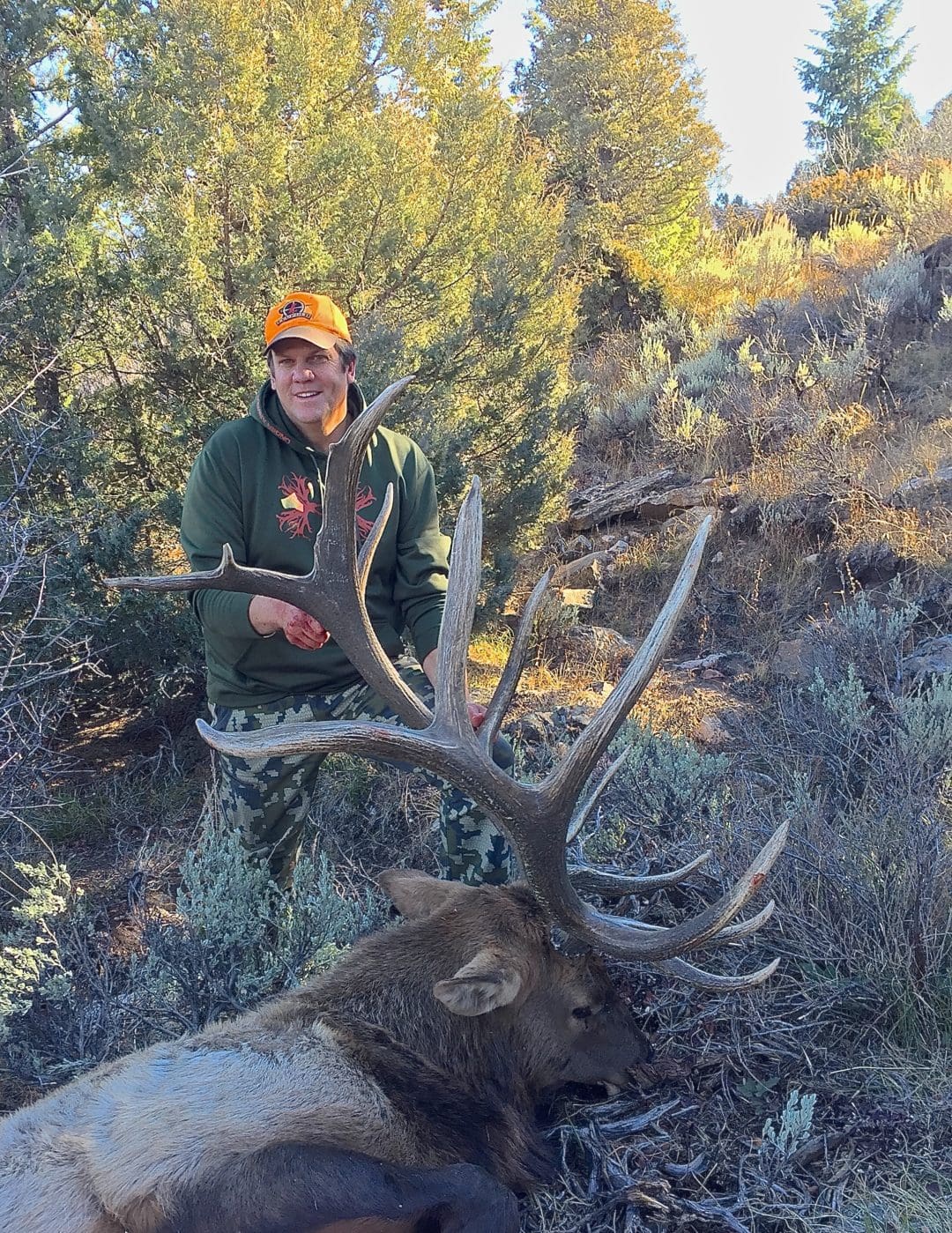 Colorado OverTheCounter Elk Hunting Western Hunter