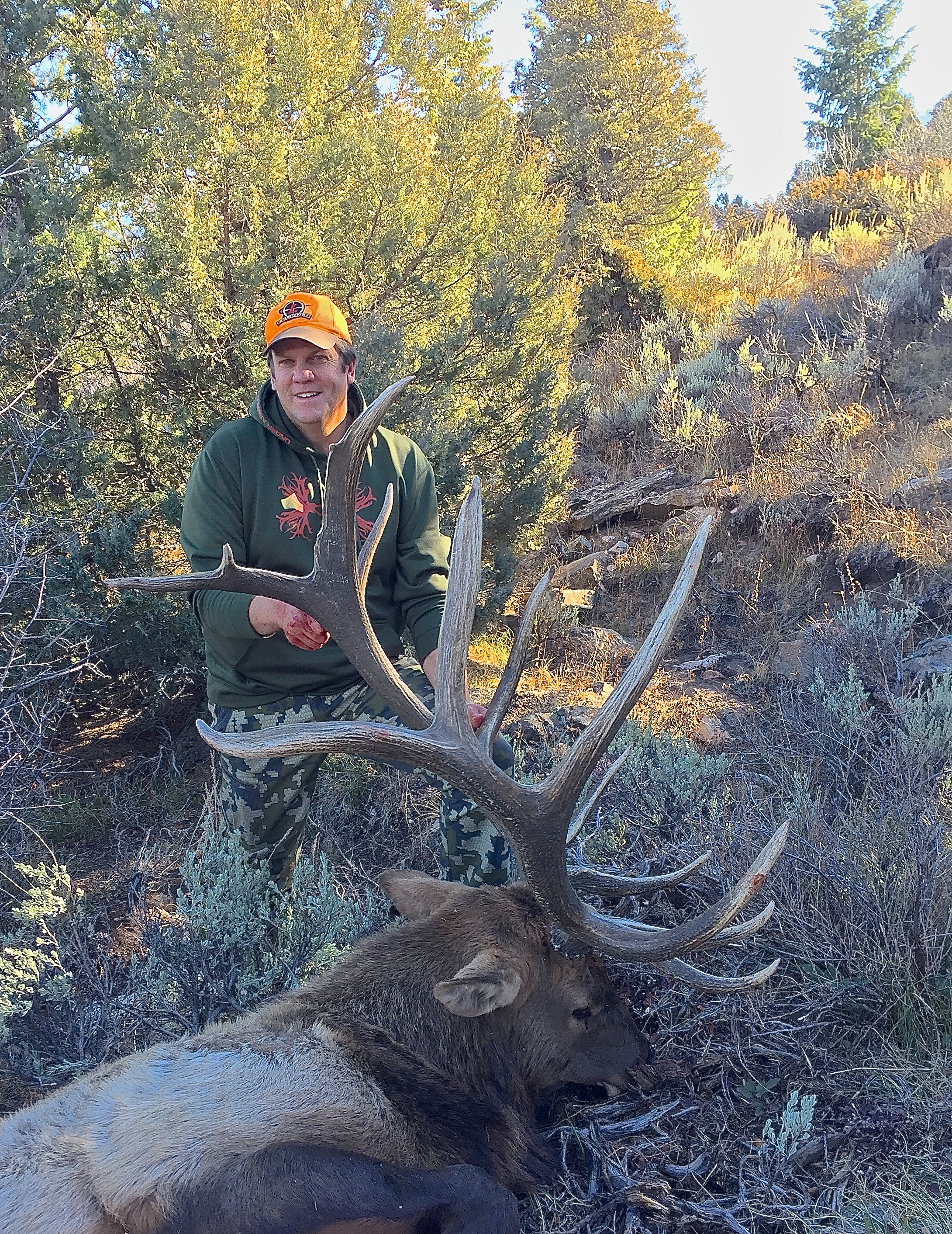 20+ Leftover Elk Tags Colorado