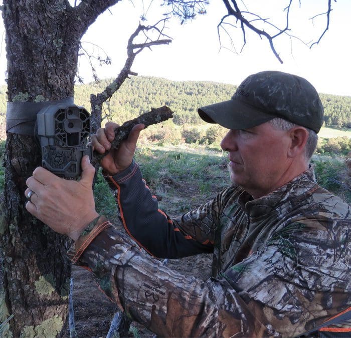 How to Use Trail Cameras for Predators