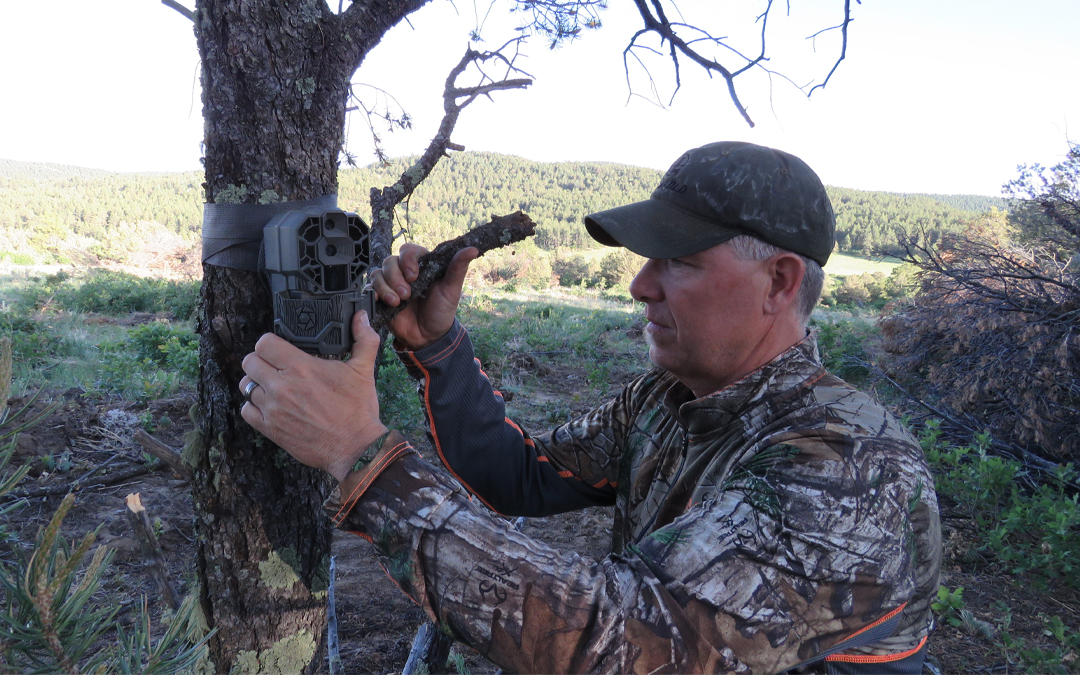 How to Use Trail Cameras for Predators