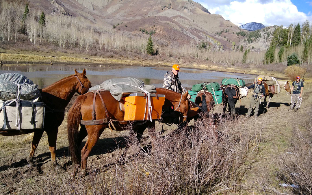 Mobile Horseback Hunting Camps